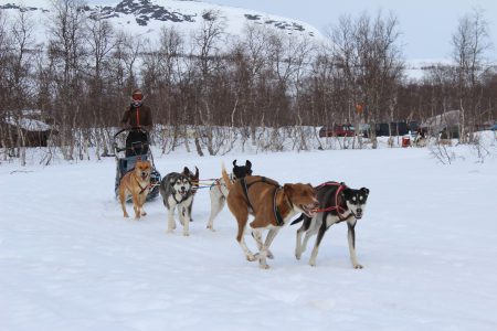 Ronja Persson.