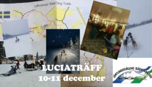 Luciaträff Lillholmsjö 10 + 11 december 2022
