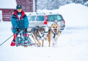 Luciaträff 2023 i bilder