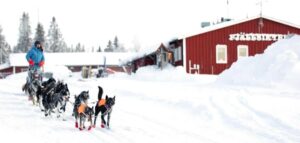 FO25: Uppdaterat program, startlista, spårkarta, chiplist / Updated program, start list, trail map, chip list